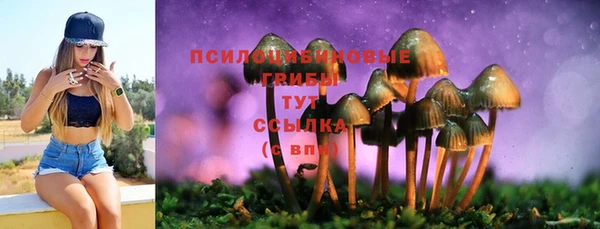a pvp Балахна