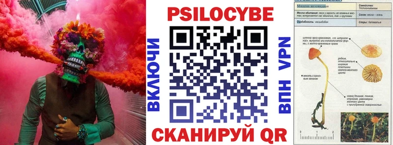 Псилоцибиновые грибы Psilocybe  Спас-Деменск 