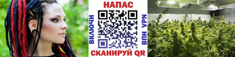 купить наркотики цена Спас-Деменск Бошки Шишки MAZAR
